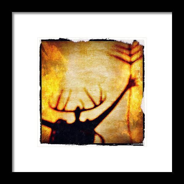 Iphone Framed Print featuring the photograph Fire Shaman by Paul Cutright