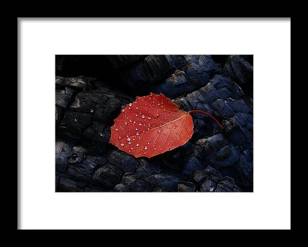 Wood Framed Print featuring the photograph Fireplace by Andreas Freund