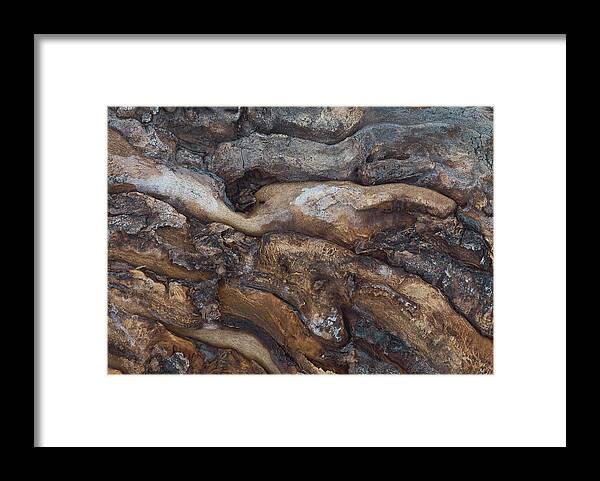 Firewood Framed Print featuring the photograph Firewood Abstract by Jim Zablotny