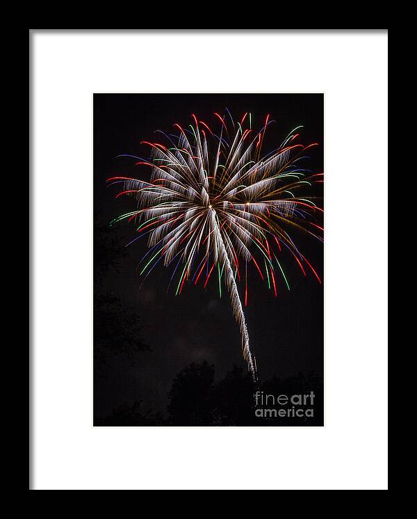 Fireworks Framed Print featuring the photograph Fireworks Flower by Joann Long