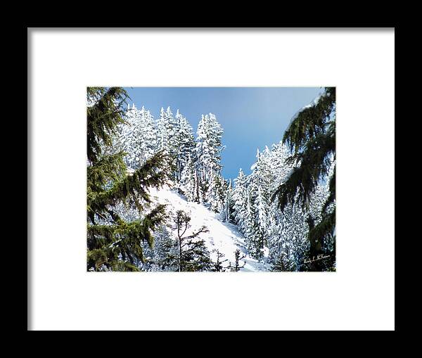Snowfall Framed Print featuring the photograph First November Snowfall by Wendy McKennon