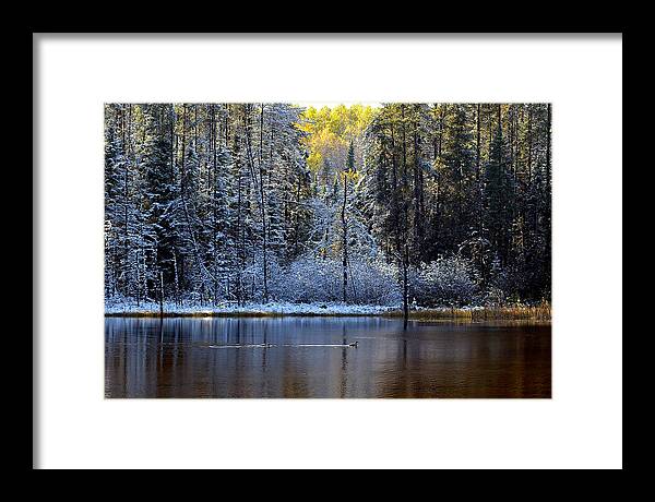 Canada Framed Print featuring the photograph First Snow by Doug Gibbons