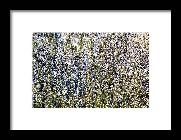 Landscape Framed Print featuring the photograph First Snow on Trees by Brian O'Kelly