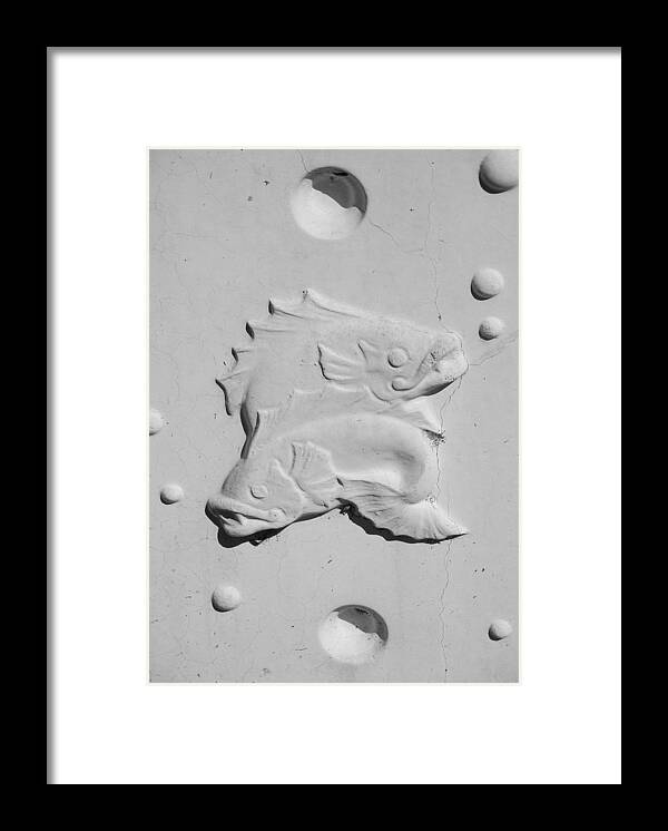 Black And White Framed Print featuring the photograph Fish And Bubbles by Rob Hans