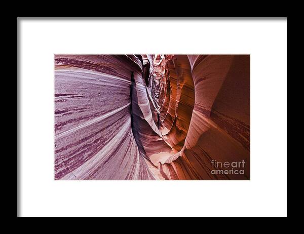 Deserts Framed Print featuring the photograph Fisheye's View Into Zebra Slot by Greg Clure