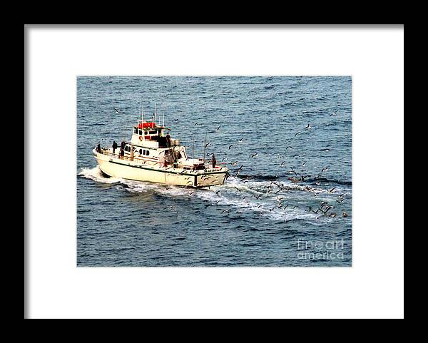 Fishing Framed Print featuring the photograph Fishing And Seagulls by Randall Weidner