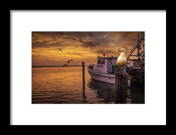 Coast Framed Print featuring the photograph Fishing Boat and Gulls at Sunrise by Randall Nyhof