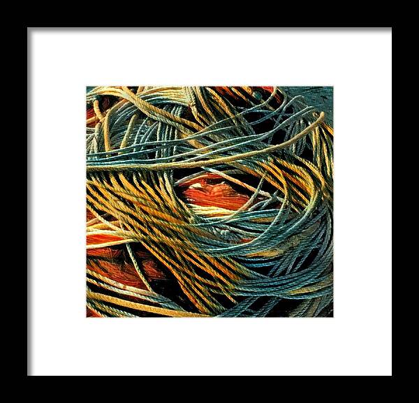 Fishing Rose Framed Print featuring the photograph Fishing Rope by Colette V Hera Guggenheim