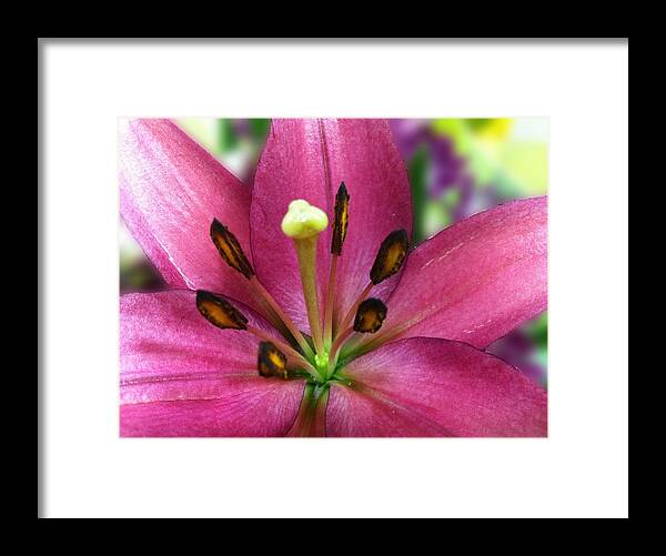 Flowers Framed Print featuring the photograph Five Points by Carlos Avila