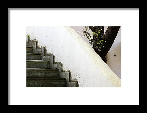 Minimal Framed Print featuring the photograph Five Steps to Glory by Prakash Ghai