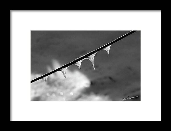 Black And White Framed Print featuring the photograph Fivecicles by Wild Thing
