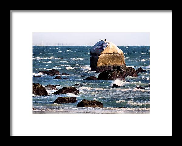 Flag Rock Framed Print featuring the photograph Flag Rock by Janice Drew