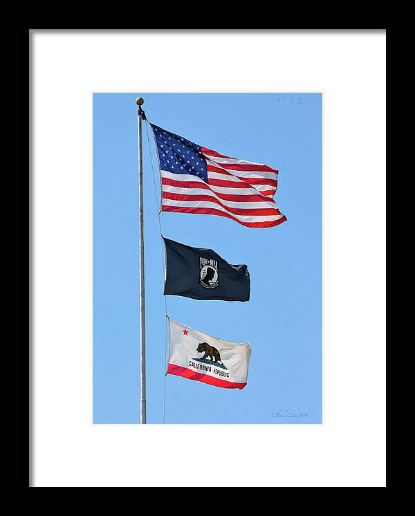 Flags Framed Print featuring the photograph Flags of Honor by Brian Tada