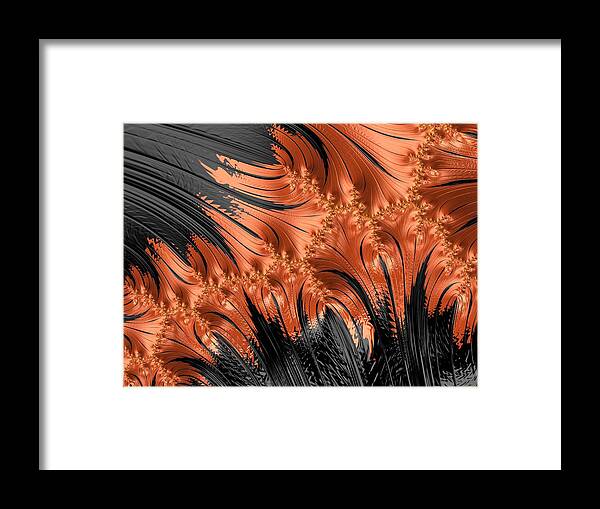 Abstract Framed Print featuring the photograph Flamenco - Series Number 2 by Barbara Zahno