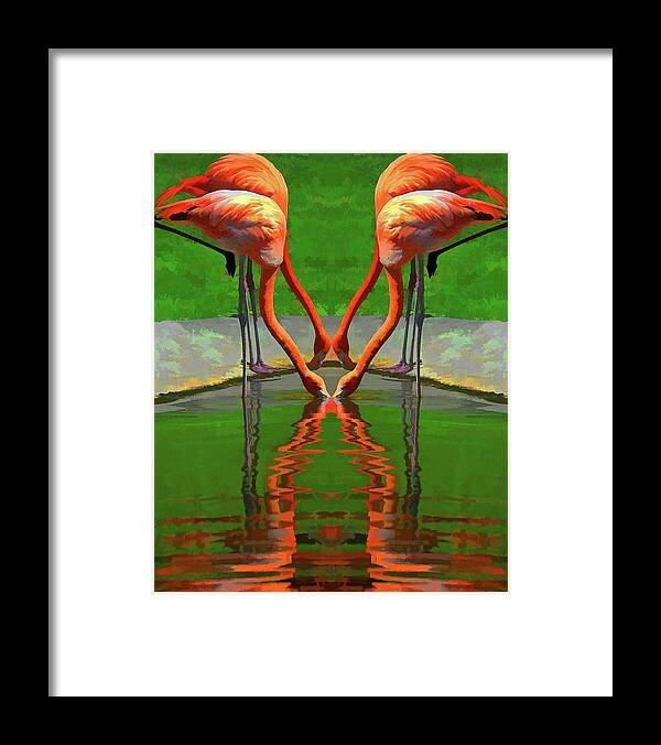 Flamingo Framed Print featuring the photograph Flamingo Heart by Rochelle Berman