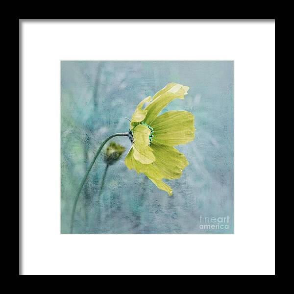 Blue Framed Print featuring the photograph Fleurina - 35t2 by Variance Collections