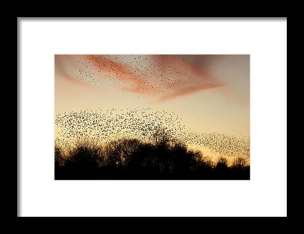 Sunset Framed Print featuring the photograph Flight At Sunset by Off The Beaten Path Photography - Andrew Alexander