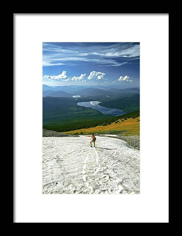 The Walkers Framed Print featuring the photograph Flight Risk by The Walkers