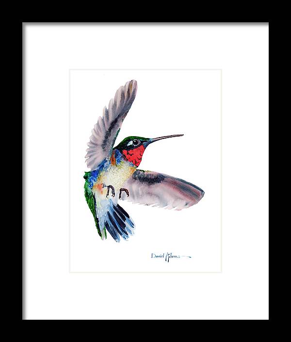 Hummingbird Framed Print featuring the painting Flit Daniel Adams by Daniel Adams