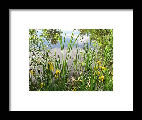 Pond Framed Print featuring the photograph Floating Clouds by Loretta Pokorny