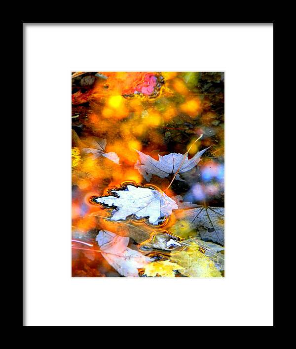 Maple Leaves Framed Print featuring the photograph Floating by Elfriede Fulda