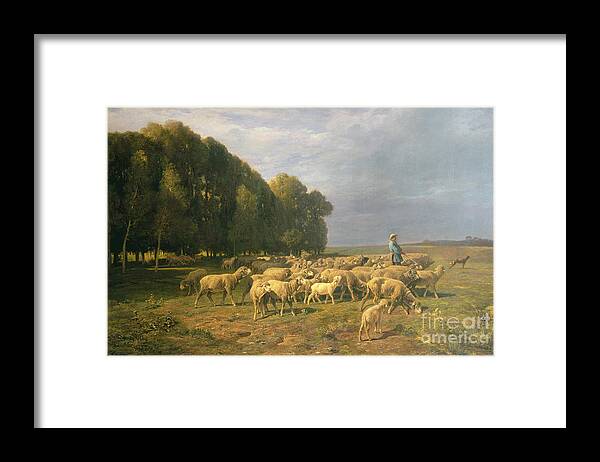 Flock Framed Print featuring the painting Flock of Sheep in a Landscape by Charles Emile Jacque