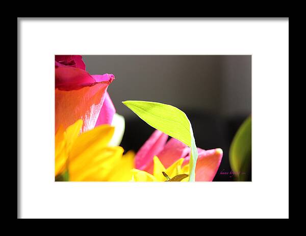Abstract Framed Print featuring the photograph Floral Abstract No7 by Kume Bryant