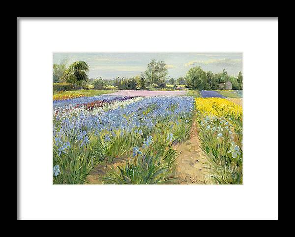 Flower Framed Print featuring the painting Floral Chessboard by Timothy Easton