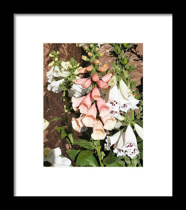 Lebanon Oregon Framed Print featuring the photograph Floral Niagra by Barbara Leigh Art
