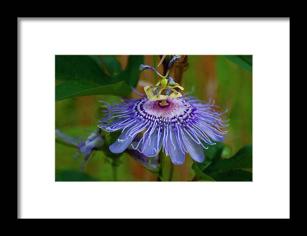 Flower Framed Print featuring the photograph Floral Print 016 by Flees Photos