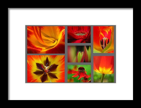 Abstract Framed Print featuring the photograph Floral Redzone by Juergen Roth