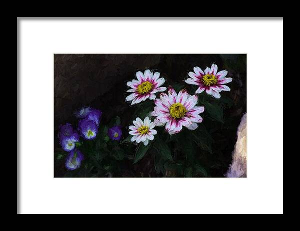 Flowers Framed Print featuring the photograph Floral by Shehan Wicks