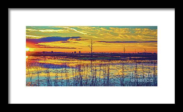 Nature Framed Print featuring the photograph Florida Nature Paradise 2 by DB Hayes