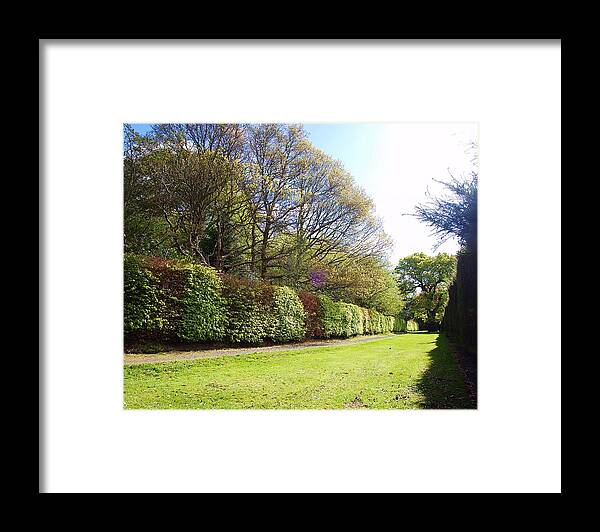 Park Framed Print featuring the photograph Flourish by HweeYen Ong