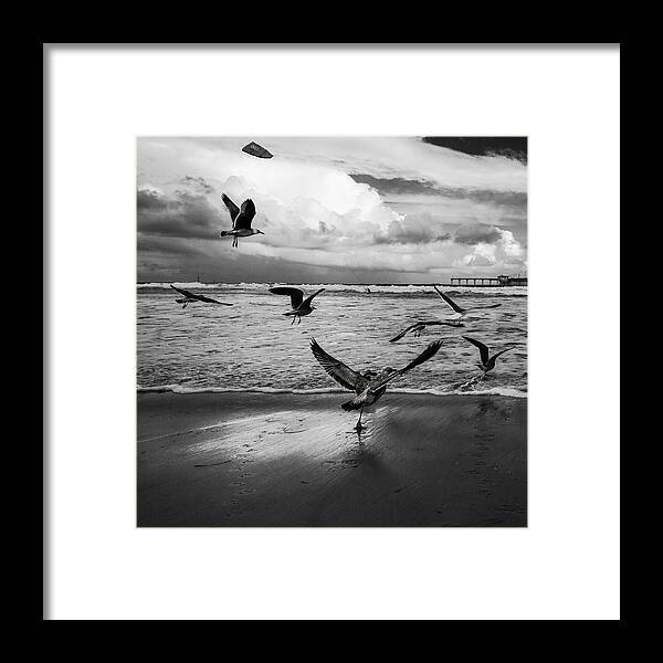 Beach Framed Print featuring the photograph Flow by Ryan Weddle