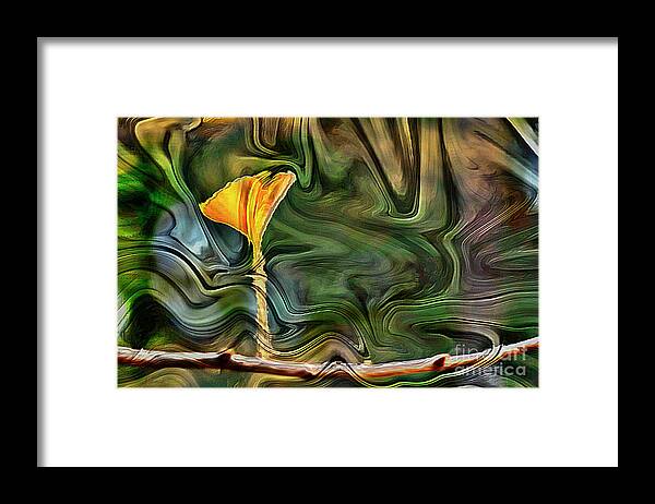 Forest Setting Framed Print featuring the photograph Flower Abstract by Jim Corwin