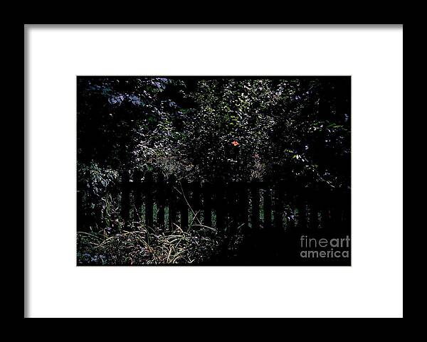 Single Flower And Fence Framed Print featuring the photograph Flower and Fence by Frank J Casella