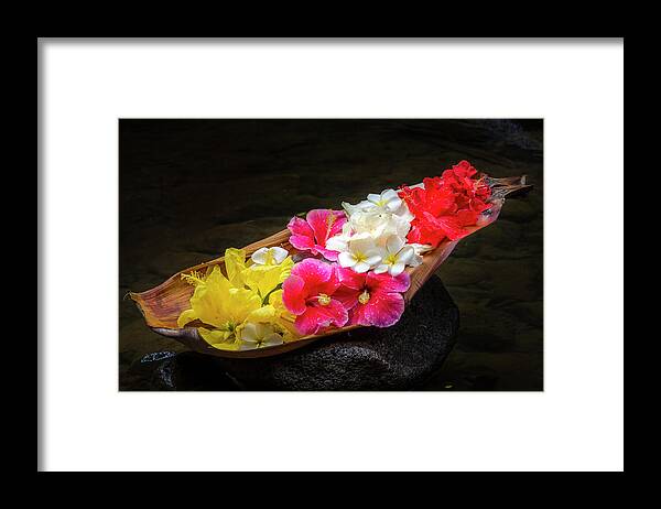 Flowers Framed Print featuring the photograph Flower Boat by Daniel Murphy