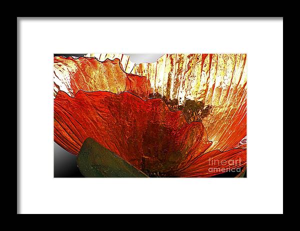 Flower Framed Print featuring the photograph Flower of Glass by Tim Hightower