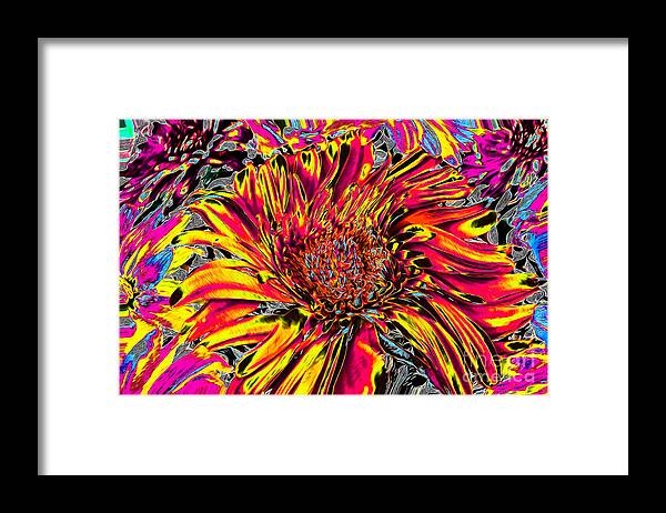 Flower Framed Print featuring the photograph Flower Power II by Nina Silver