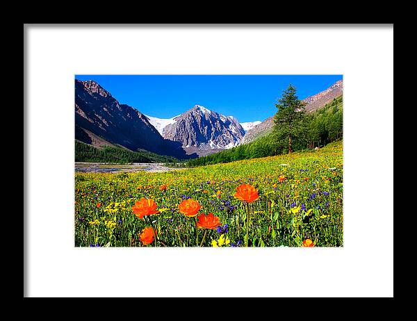 Russian Artists New Wave Framed Print featuring the photograph Flowering Valley. Mountain Karatash by Victor Kovchin