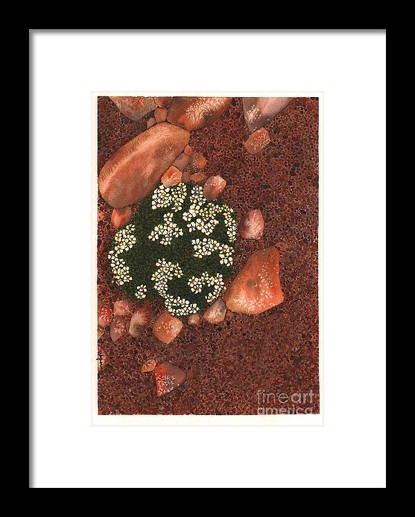 Succulent Framed Print featuring the painting Flowermound by Hilda Wagner