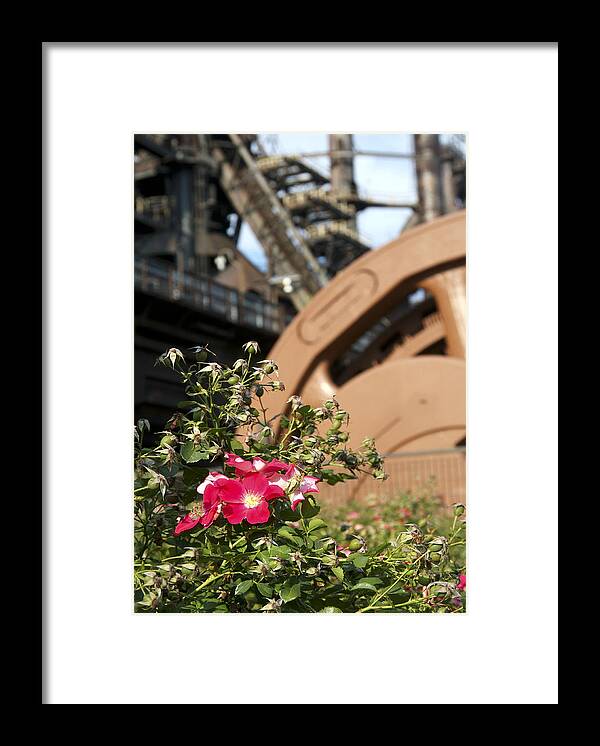 Bethlehem Steel Framed Print featuring the photograph Flowers and Steel by Michael Dorn