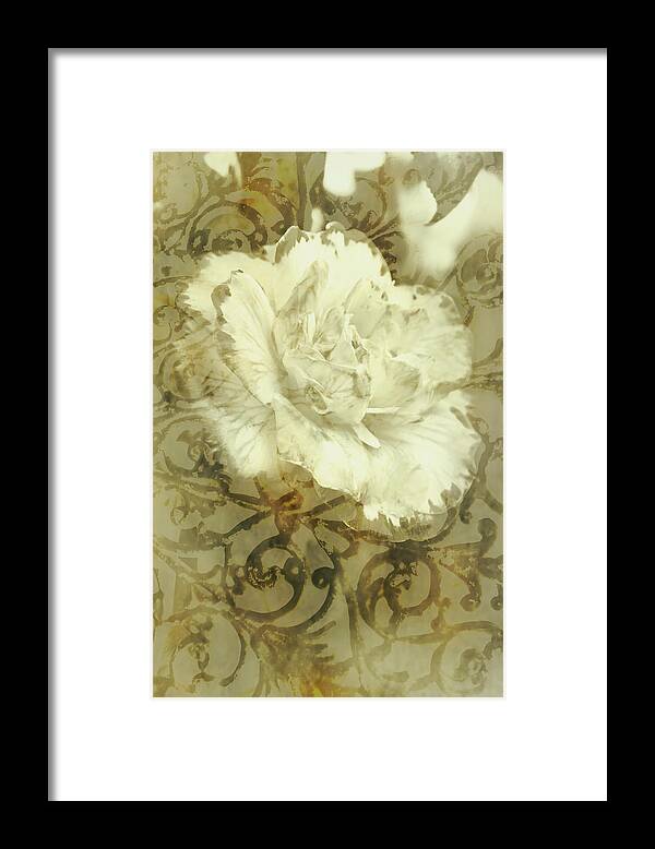 Flower Framed Print featuring the photograph Flowers by the window by Jorgo Photography