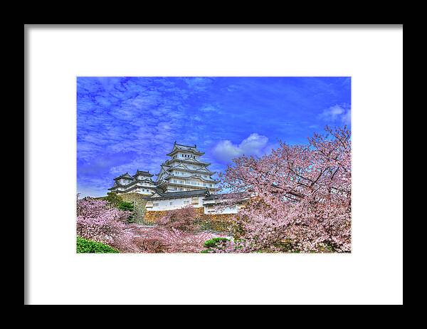 Himeji Castle Framed Print featuring the photograph Flowers Era by Midori Chan