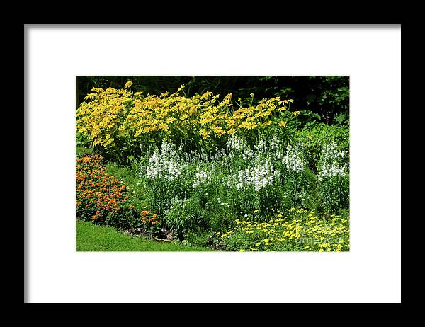 Michelle Meenawong Framed Print featuring the photograph Flowers In The Park by Michelle Meenawong