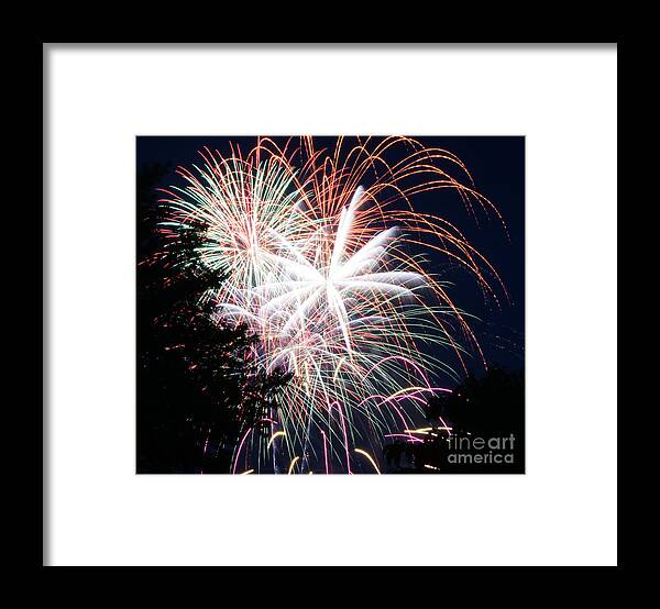Fireworks Framed Print featuring the photograph Flowers of Light by Robert E Alter Reflections of Infinity