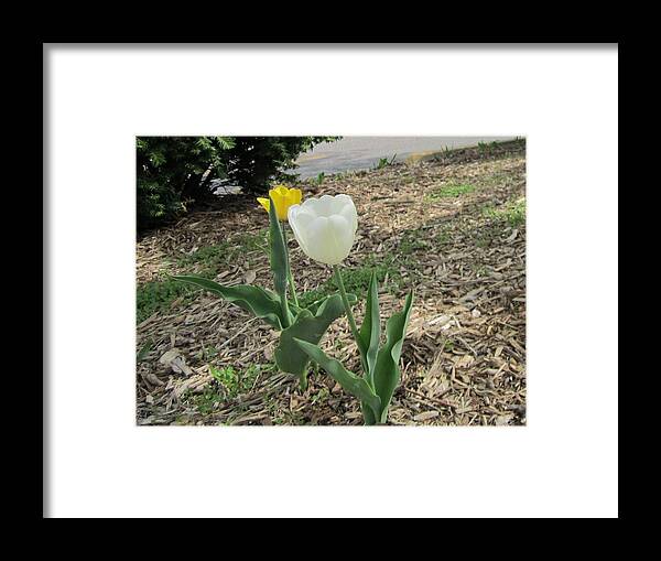 Photography Framed Print featuring the photograph Flowers of Spring by Glenda Crigger
