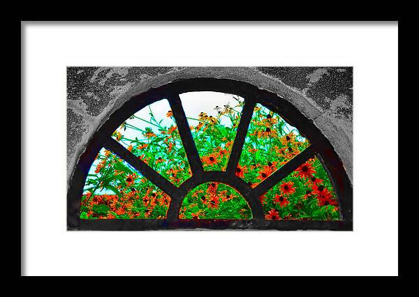 Monticello Framed Print featuring the photograph Flowers Through Basement Window at Monticello by Bill Cannon