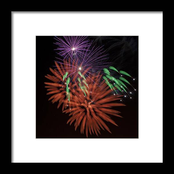 Fireworks Framed Print featuring the photograph Flowerworks 1 by Sandy Swanson